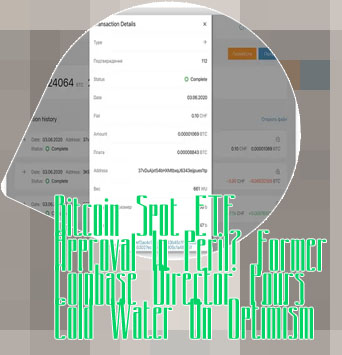Bitcoin transaction screenshot
