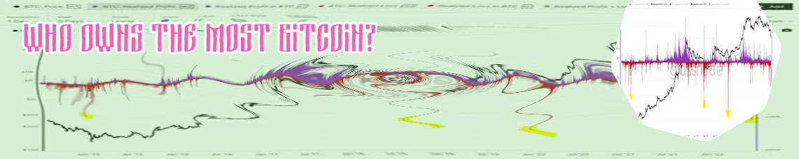 Who has the most btc